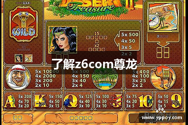 了解z6com尊龙